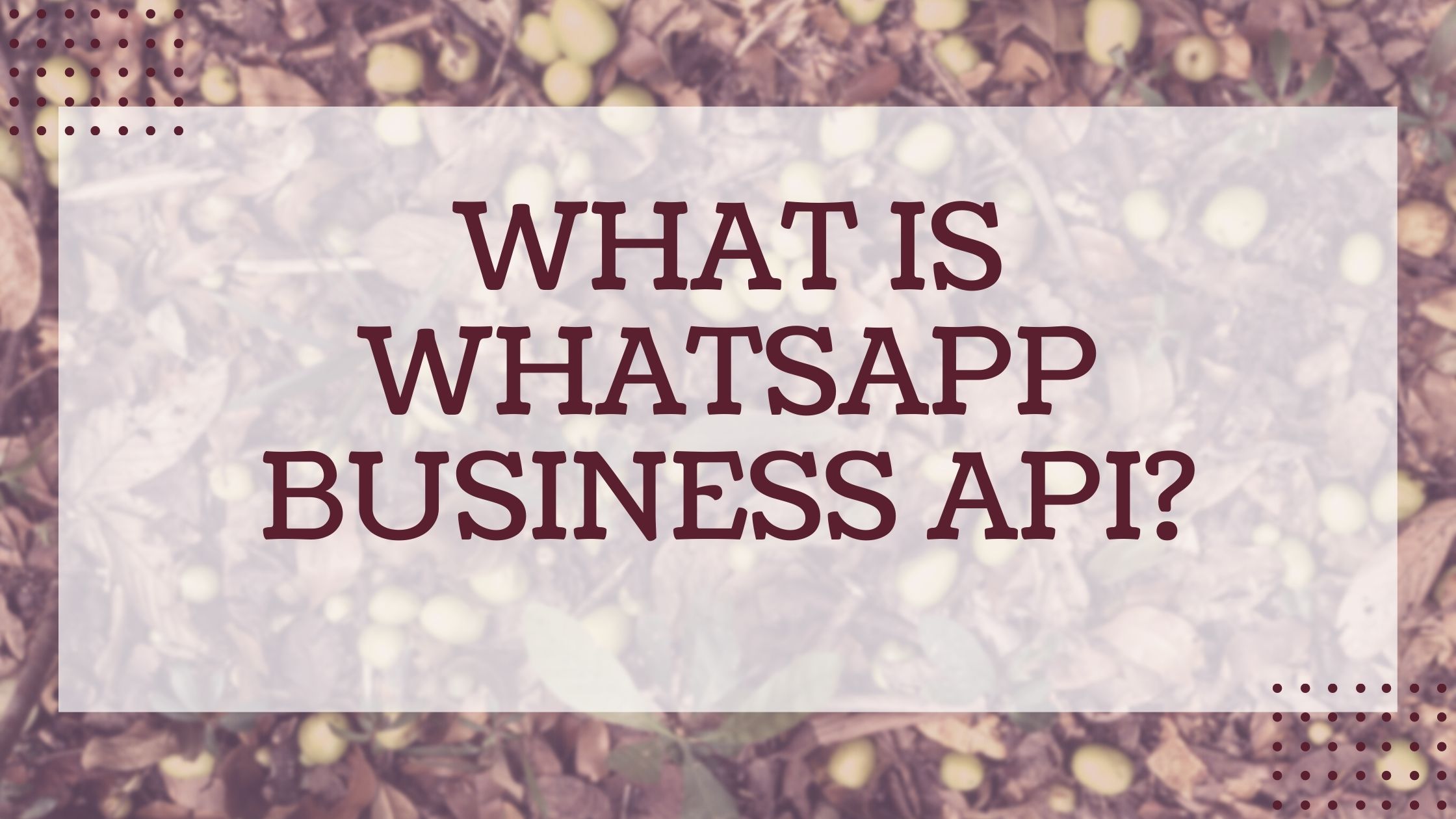 What is WhatsApp Business API?